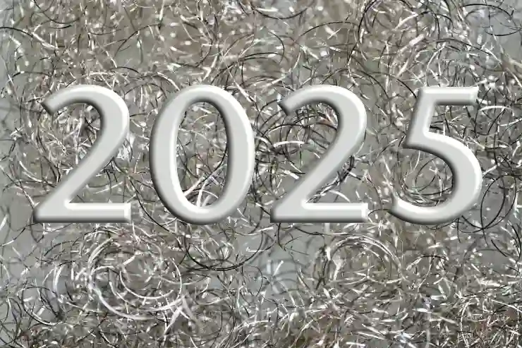 2025년 근로장려금 12월 지급 일정과 놓치지 말아야 할 안내 사항 총정리