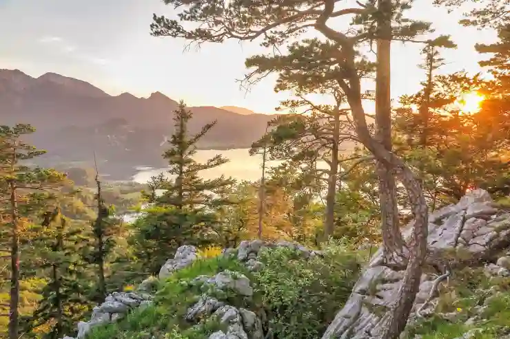 충북의 숨겨진 보석들: 가볼만한 곳 탐방