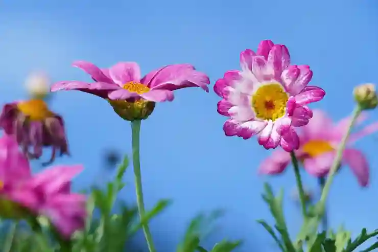 1. 온라인 신고