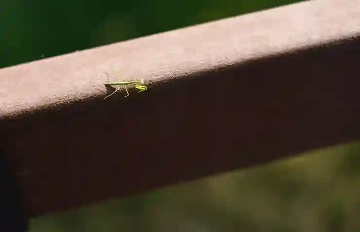 중학생 역사 추천도서 총정리: 학습의 열쇠 열어보기
