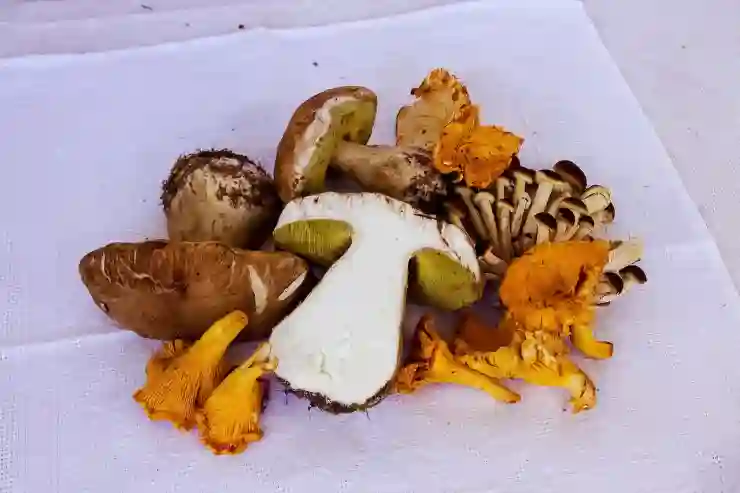 선거비용, 제대로 알고 똑똑하게 돌려받자!