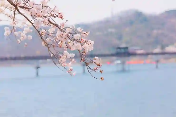 안동 을사년 새해 해맞이 행사