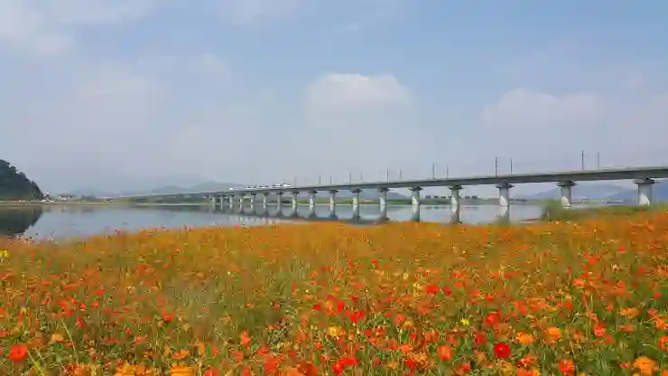 KTX 요금 할인, 놓치면 후회할 꿀팁 대방출!