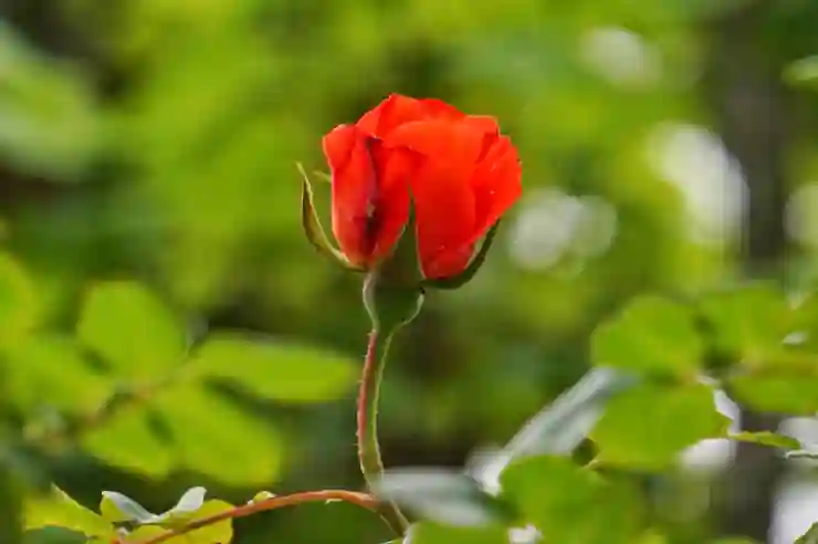 직장인 5월 연말정산 신청방법