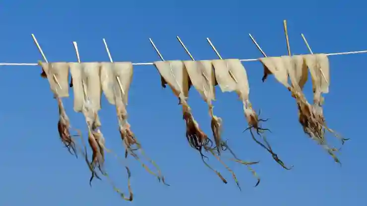 동해안의 숨겨진 보석, 강릉 여행 완벽 가이드