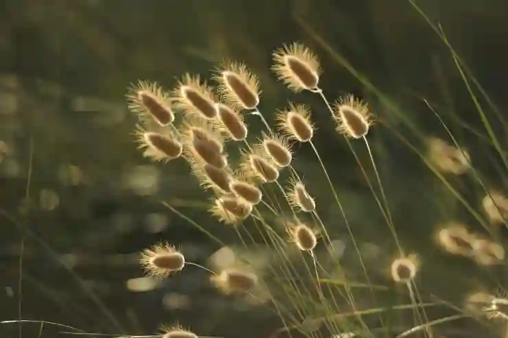 영세율 상호주의로 기업 지원 받는 법 알아보기