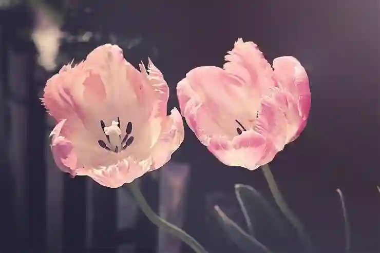 삼쩜삼 환급 후기: 예상치 못한 환급금으로 기분 UP! 쉽고 빠른 세금 환급 꿀팁 알아보기