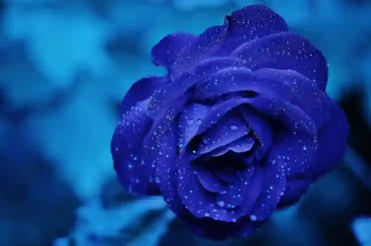 에어부산 정비의 안전과 품질 보장 비결 알아보기