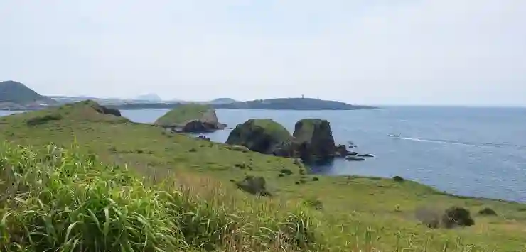 제주도 5월 2박3일 여행 핵심 코스와 꿀팁 완전 정복하기