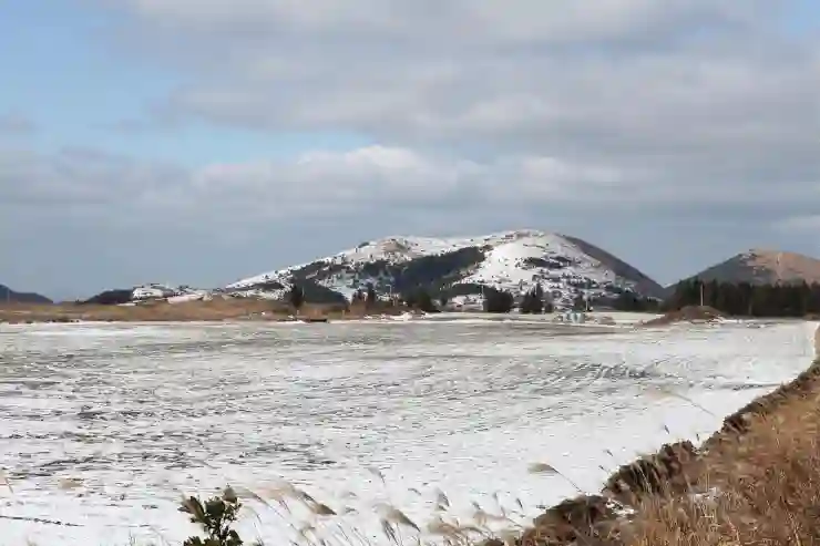제주도 겨울의 숨은 매력을 찾아서
