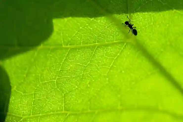 직장인의 권리와 의무 완벽 이해하기