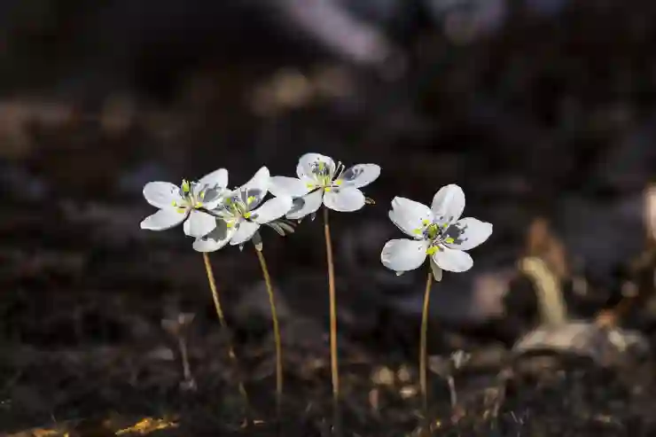 착한 임대인 세액공제로 절세하는 스마트한 방법 알아보기