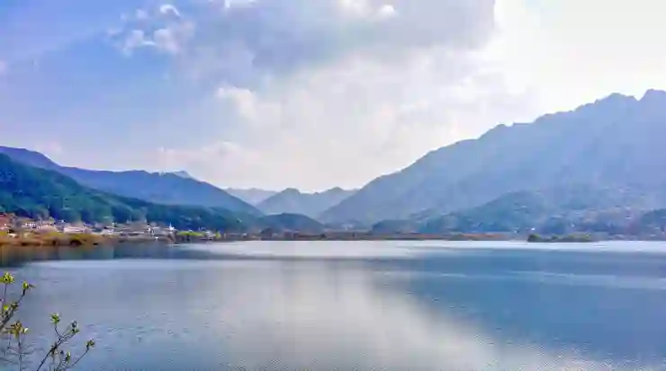 지친 일상에 활력을! 힐링 아쿠아의 매력 알아보기
