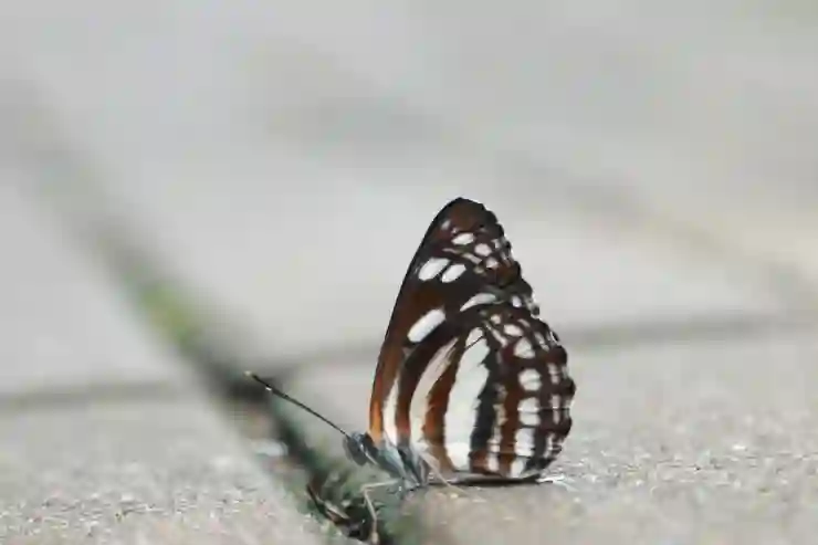 ETF 투자│일본 엔화에 투자해볼까? TIGER 일본엔선물