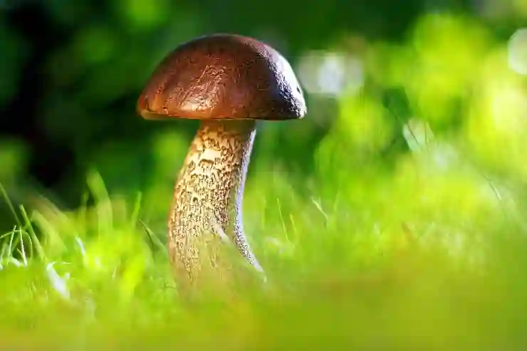 [재테크 칼럼] 돈을 모을 수 있는 사람과 모을 수 없는 사람