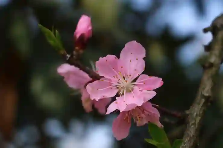 남는 돈도 잘 관리해야 재테크 고수, 3월 파킹통장 금리비교 해보기
