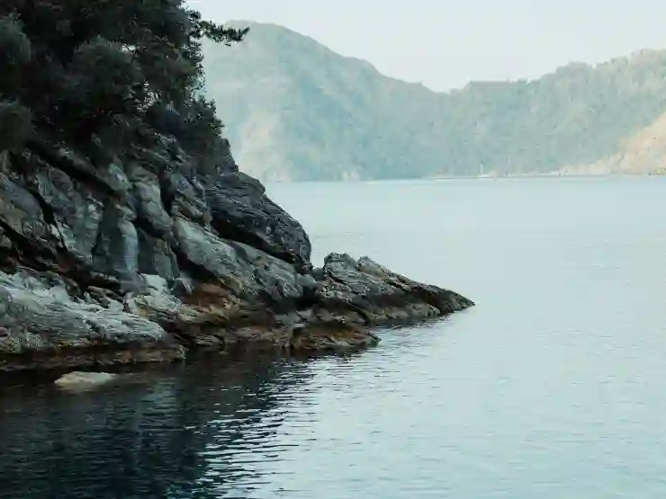 노인일자리 신청 방법과 이코노미 뉴스 전망 알아보기