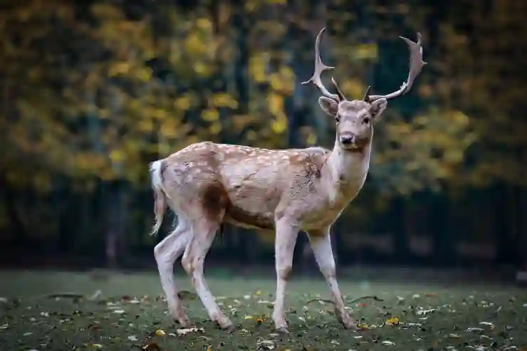 노인을 위한 자격증과 일자리 정보: 새로운 기회를 잡아보세요!