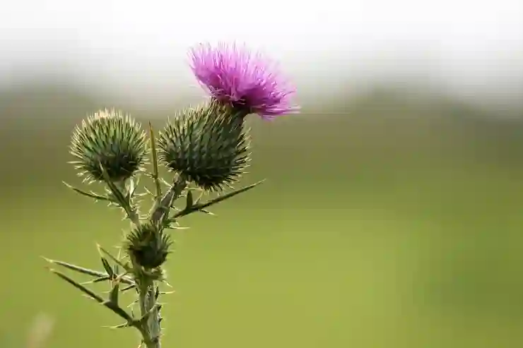 카카오톡 친구 찾기 앱 추천과 사용법