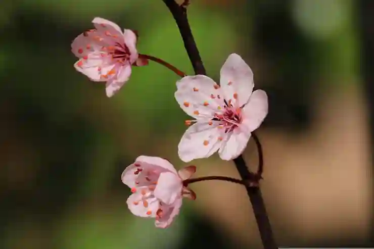 Remini와 함께 하는 옛날 사진 고화질 변환 방법