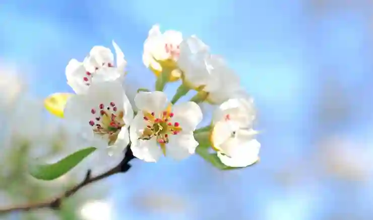 신생아 특례 대출: 신청 서류와 절차 안내