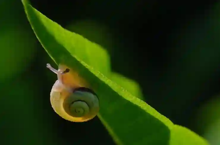 상대방 카톡 차단 확인부터 삭제, 몰래 보는 법까지