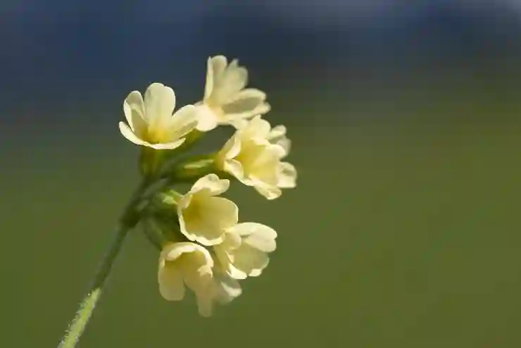 노인을 위한 자격증과 일자리 정보 알아보자