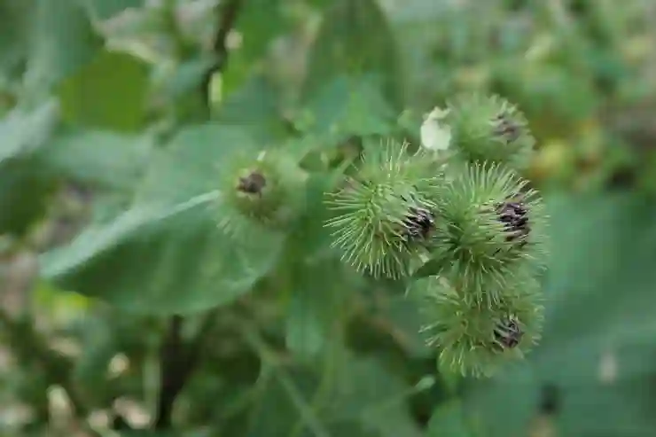 사회적 책임을 다하는 노인일자리 사업의 필요성 알아보기