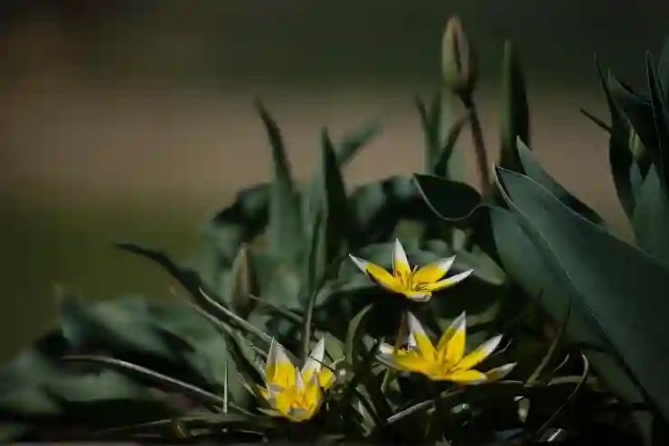 인스타 사진 쉽게 저장하는 단축어 꿀팁 공유합니다!