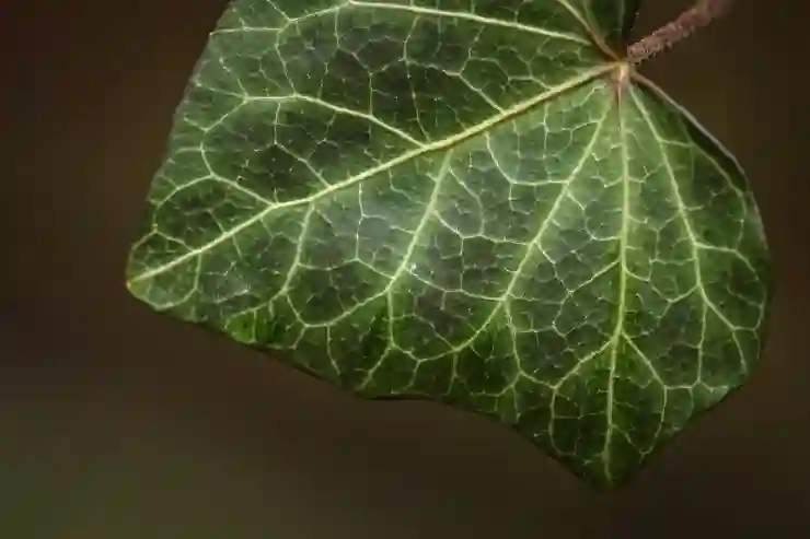 유튜브 채널명과 핸들 변경하는 쉬운 방법 알아보기