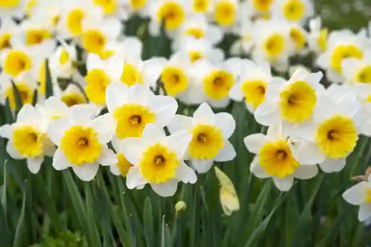 유튜브 채널 다수 만들고 삭제하는 스마트한 전략 알아보기