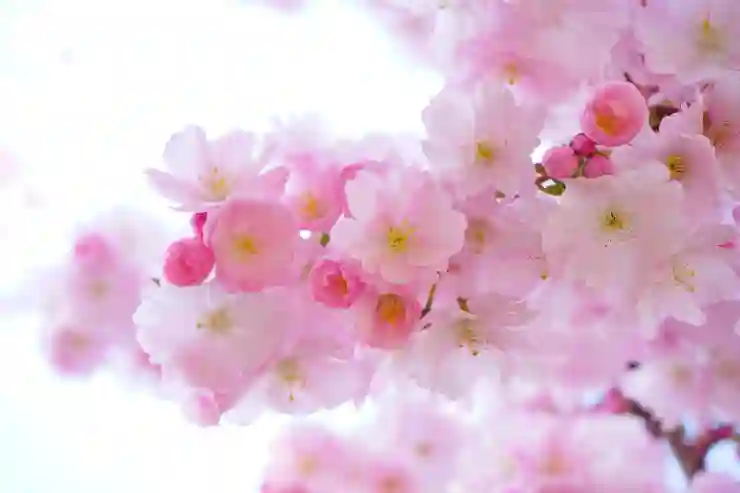 이름으로 사람 찾는 꿀팁 알아보자