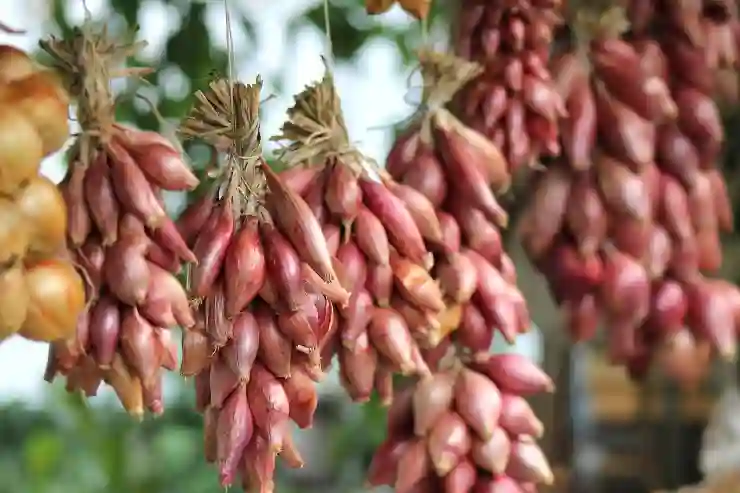 패들렛으로 협업의 새로운 세계 열기, 사용법과 만들기 팁 알아보기