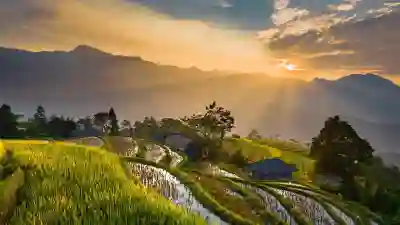퇴직소득세 절세를 위한 5가지 필수 팁 알아보자