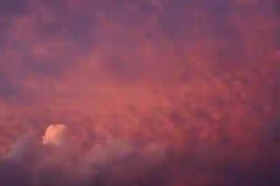 CU편의점 인기상품 재고 확인하는 꿀팁