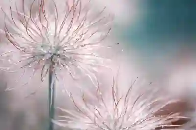 개인형 퇴직연금 IRP 활용법 알아보자