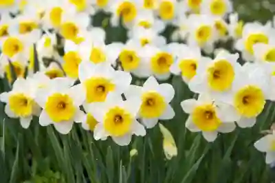 서울 국립중앙박물관 외규장각 의궤 전시와 합스부르크 600년 살펴보기