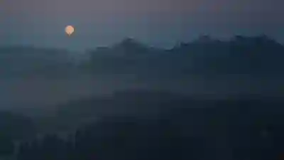 소아 야간진료의 필요성과 달빛어린이병원 이용법 알아보자