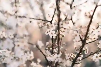 원천징수액과 연봉 확인하는 5가지 방법 알아보기