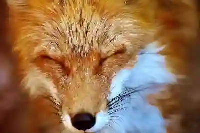 톡서랍 플러스 회차별 경험담으로 알아보는 이용자 솔직 후기