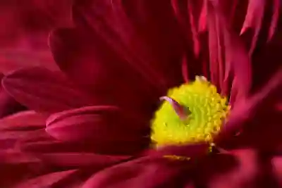 갤럭시 갤러리 사진 잠금과 숨기기 방법 알아보자