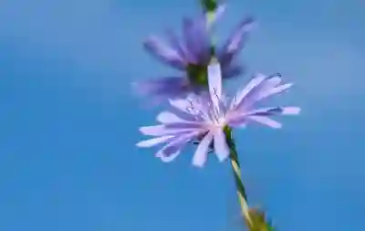 갤럭시탭 S9 S10 S10 울트라 비교해보자
