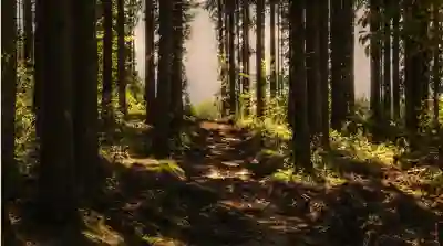 성수에서 즐기는 조용하고 분위기 좋은 와인바 추천