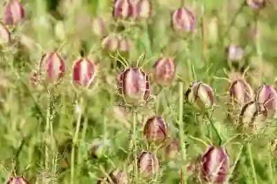 세탁기 건조기 일체형의 단점 살펴보기