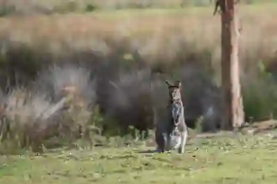 알랑 클린피 파우치로 위생과 실용성을 챙기는 방법 알아보자