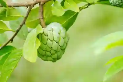 애플페이로 간편 결제하는 5가지 팁