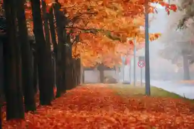 인스타 스토리 몰래보는 꿀팁과 차단 우회 방법 알아보자