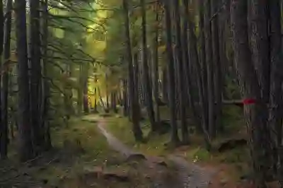 인스타 팔로우 및 언팔 확인하는 꿀팁