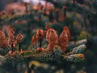 크롬캐스트 설치와 초기화 방법 총정리 및 4K 지원 알아보자