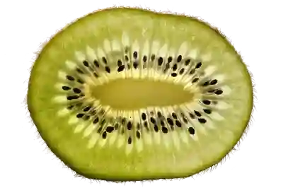 전마협 마라톤 대회 준비하는 꿀팁